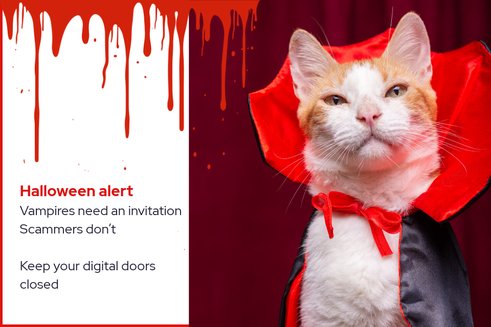 Cat dressed up as a vampire